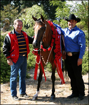 Jesse and Jon standing with Shivalli after winning 2007 Canadian National Western Pleasure Open